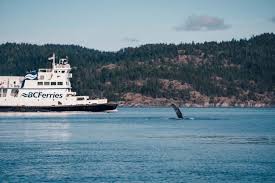 Bc Ferry From Comox Vancouver Island To Powell River On The Canadian  Mainland Stock Photo - Alamy