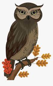 Check spelling or type a new query. Sketsa Burung Hantu Warna Hd Png Download Kindpng