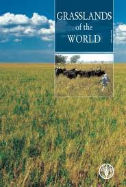 There are 7 members in emporia ks. Grasslands Of The World Pdf Disasters And Conflicts Unep