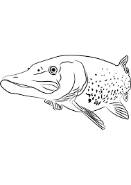 Free coloring pages of polka dots. 45 Fish Coloring Pages Coloring Pages