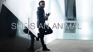 … lions are very … strong. Jayr M She S An Animal Official Video Youtube