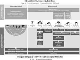 10 ways you can improve your. Alternative Strategies For Mosquito Borne Arbovirus Control