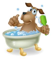 Get it now on amazon.com. 7 Best Dog Bath And Grooming Tubs For Hassle Free Pet Bathing