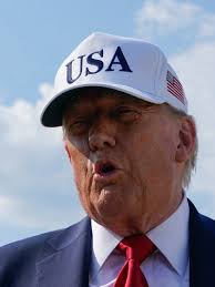 Livingston County Election Results 2024