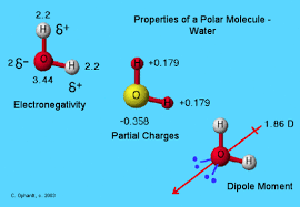 Geometry Of Molecules Chemistry Libretexts