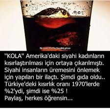 Birgul Sahin Adli Kullanicinin Onemli Bilgiler Panosundaki Pin Biliyor Muydunuz Bilgi Gercekler