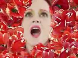 The Day I Knew I Didn't Want to Be a Popstar