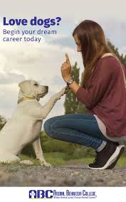 Too Busy Working To Attend Classes Our Flexible Program Works Around Your Schedule Study Online And Train Animal Behavior College Puppies Training Your Dog