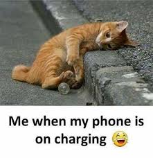 28 Funny Images Unique Strong Garden Really Funny Memes Cute Funny Quotes Funny Qoutes