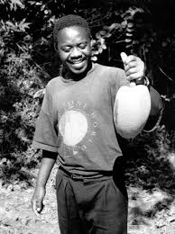 Image result for Monanthotaxis afra