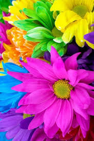 Flowers bouquets & home decor. Pin Su Multicolor