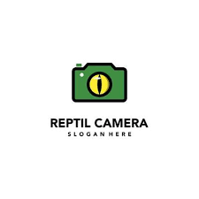 reptil camera logo design on isolated background. reptil eye with camera  logo 8891993 Vector Art at Vecteezy