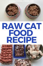 raw cat food recipe keto kitties with