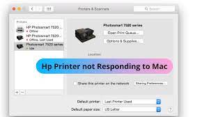 Hp Printer Not Responding To Mac Hp Printer Printer Network Sharing