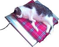 Evcil Hayvanlar Isiticisi Animals Cats