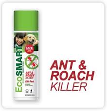 How safe is terro ant killer around pets? 7 Best Pet Safe Ant Killer Pet Friendly Way To Get Rid Of Ants