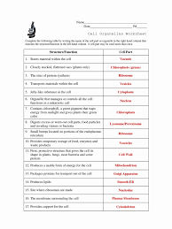 Draw the differential manometer which is carrying fluids of different specific gravities. 33 Cell Structure Worksheet Answers Free Worksheet Spreadsheet
