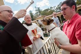 Resultado de imagen de fiesta de bendicion de los animales