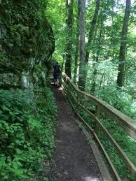 cedar sink trail, mammoth cave national