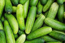 And if your soil is already high in nitrogen, the extra boost from coffee grounds could stunt the growth of fruits and flowers. Technology For Growing Cucumbers On The Balcony Farmer