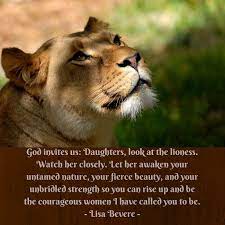 And although lions are much more exposed in our culture, the lioness is the real star. Quotes About Lioness 33 Quotes