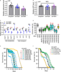 Banks are different, they are hidden. Frontiers Adenosine Receptor And Its Downstream Targets Mod Mdg4 And Hsp70 Work As A Signaling Pathway Modulating Cytotoxic Damage In Drosophila Cell And Developmental Biology