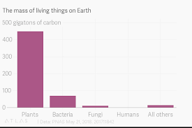 The Mass Of Living Things On Earth