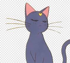 Aesthetic anime png collections download alot of images for aesthetic anime download free with aesthetic anime free png stock. Anime Cat Anime Cat Aesthetic Hd Png Download 1151x1025 2943726 Png Image Pngjoy