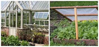 Secure the wood with screws. Homemade Greenhouse Ideas Diy Greenhouse Cold Frame Terrarium