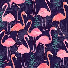 Flamingo Print This Should Be In Your Bathroom Oh Flamingo Art Flamingo Wallpaper Pink Flamingo Wallpaper