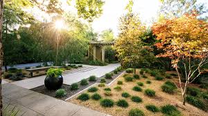 About 2% of these are artificial plant, 0% are shade sails & nets. The Best Small Trees For Every Type Of Small Yard And Garden Sunset Sunset Magazine