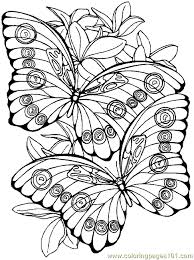 Each printable highlights a word that starts. Butterfly Coloring Page 016 Coloring Page For Kids Free Butterfly Printable Coloring Pages Online For Kids Coloringpages101 Com Coloring Pages For Kids
