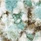 Training, Tips, and Tools for Mold Assessment event image