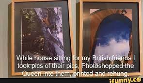 Housesitting Memes Best Collection Of Funny Housesitting Pictures On Ifunny