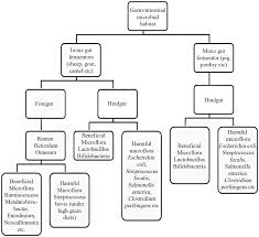 Classification Of Livestock Based On Microbial Habitats