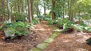 The Shade Garden When Christine And Gil Pritchard Bought Their North Carolina Home There Was No Garden Shade Garden Parterre Garden Pine Straw Landscaping