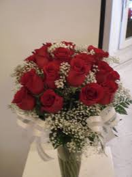 Pin On Roses