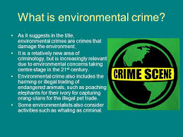 The environment is everything around us. Environmental Crime Ppt Download