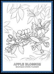 Arkansas was at one time in its history a prime producer of apples in the northwest part of the state. Apple Blossom Archives Usa Facts For Kids