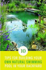Is natural pool water safe? 10 Tips For Building Your Own Natural Swimming Pool Diy Style