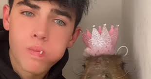 TikTok star Kyle Thomas tackled about exotic animal 'influencing' in  Channel 4 documentary
