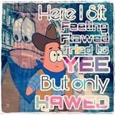 Yee And I Can T Stress This Enough Haw R Bikinibottomtwitter