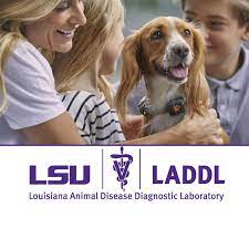 Louisiana Animal Disease Diagnostic Laboratory Home Facebook