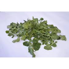 Maybe you would like to learn more about one of these? Laprista Selvatica 290 G Sibarizia Vendita Online Di Prodotti Tipici Calabresi