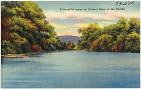 Missouri streets are lined with tidy blooming bradford pears, and spectacular flowering crabapples are everywhere. Common Trees Of Missouri Missouri S Natural Heritage Washington University In St Louis