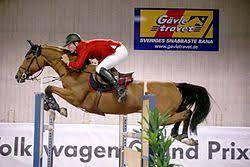 Internationella ridsportförbundet fei har utsett peder fredricsons stjärna all in till månadens häst i juli och skriver: Peder Fredricson Wikipedia