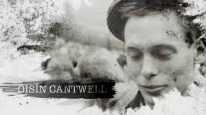 Oisín Cantwell på Aftonbladet är nyhetskolumnist