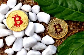 Apple has been keeping an eye on cryptocurrency for several years. Cryptocurrency Market Overtakes Apple The World S Most Valuable Company In Market Capitalization Apple Aapl Benzinga