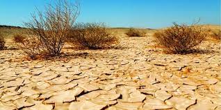 أكساد برنامج ومشاريع متنوعة لمراقبة التصحر ومكافحته في الوطن العربي s a n a