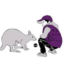 Avis Sur Le Jardin Des Kangourous Kangourou Animalier Parcs